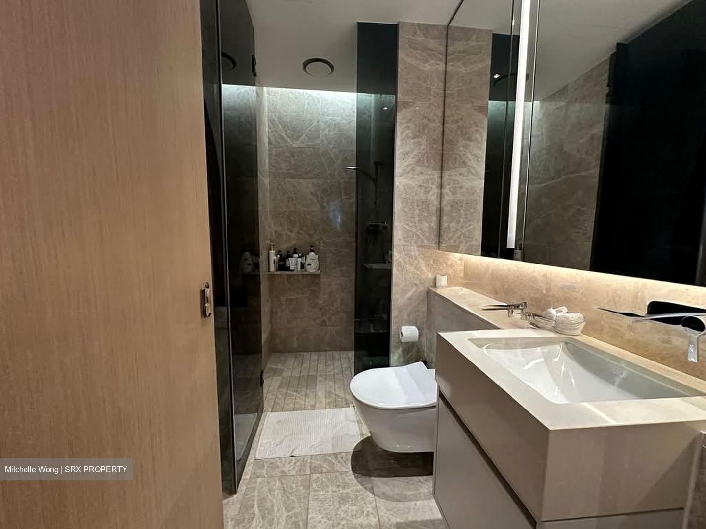 Amber Park (D15), Condominium #558276011